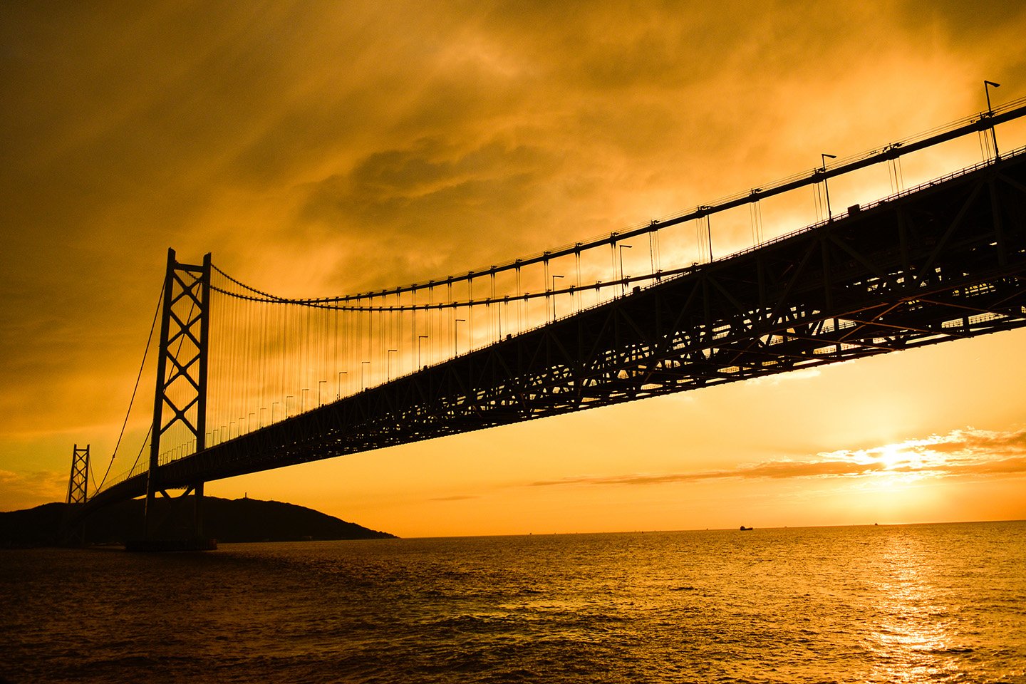 🌳 사카이 센보쿠 시오미 부영 공원 (후에이 사카이센보쿠 시오미 코엔) 이미지 6